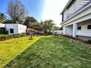 WhatsApp-Image-2024-11-25-at-11.51.15-AM-300x225