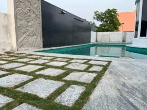 WhatsApp-Image-2024-11-27-at-2.49.45-PM-300x225